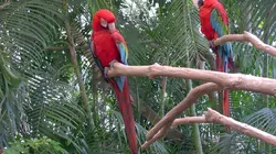 Ushuaïa nature S01E07 Les cavaliers du vent