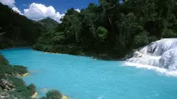 Ushuaïa nature S01E13 Le trésor bleu