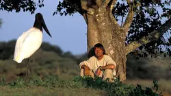 Ushuaïa nature S01E16 Un jardin pour la planète