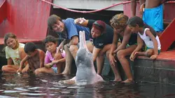 Ushuaïa nature S01E37 Les derniers hommes libres