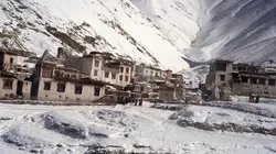 Ushuaïa nature S01E25 La vie pas à pas