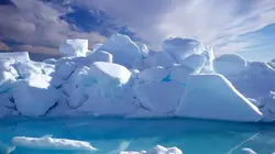 Ushuaïa nature  S01E27 Le repaire de la Licorne (Arctique)