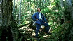 Ushuaïa nature S01E08 L'esprit de la forêt