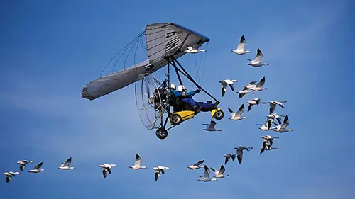 Ushuaïa nature S01E20 Les trésors cachés