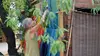 Utopiaggia : Un rêve de liberté en Italie