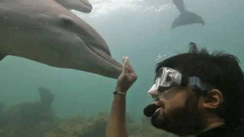 Vacarme en haute mer