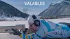 Valables