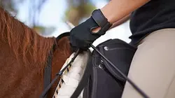 Visuel de Vanessa Romberg, jusqu'au bout du rêve