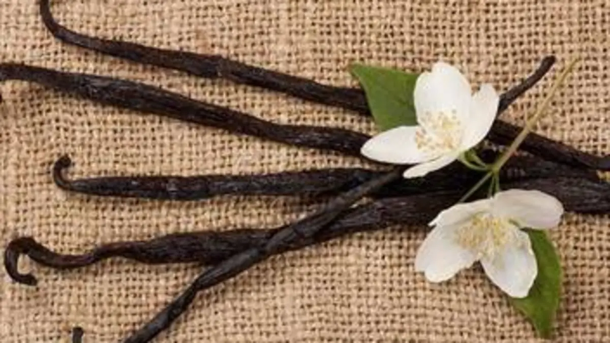 Vanille, l'or de La Réunion