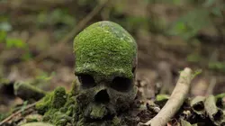 Vanuatu, l'éveil des chefs