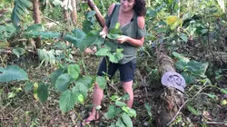 Vanuatu, la mer et le feu