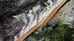 Visuel de Venezuela : le monde mystérieux des hauts plateaux