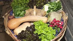 Visuel de Vente directe, du champ à l'assiette