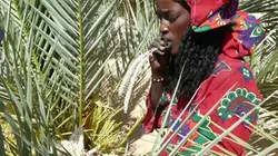 Visuel de Vents de sable, femmes de roc