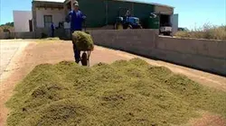 Vers d'autres mondes