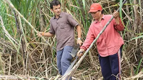 Vers d'autres mondes E01 Un sucre au goût amer