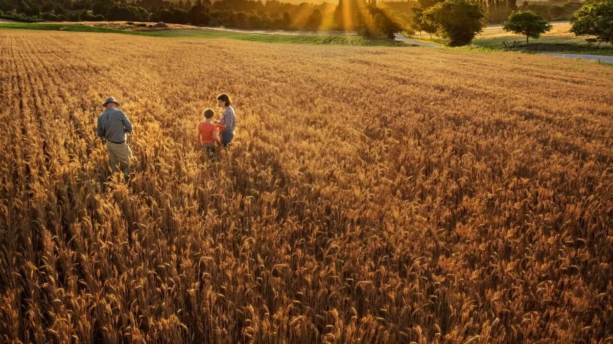 Vers une agriculture sans pesticides