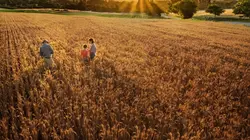 Vers une agriculture sans pesticides