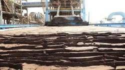 Vers une famine planétaire ?