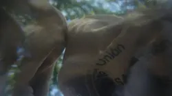 Vers une science des rêves