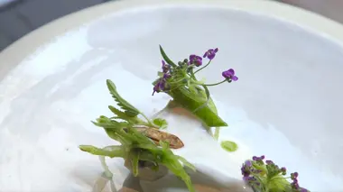 Spéciale gastronomie