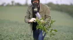 Vert de rage Paraguay : Les cultures empoisonnées