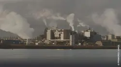 Vert de rage Polluants éternels