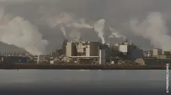 Vert de rage Polluants éternels