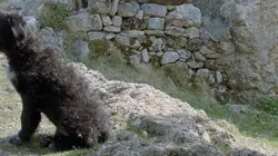 Vertiges du Verdon