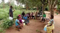 Visuel de Vertueuses, les multinationales ?