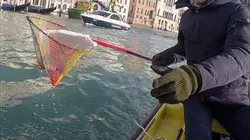 Very Green Trip à Venise S01E02 A Venise