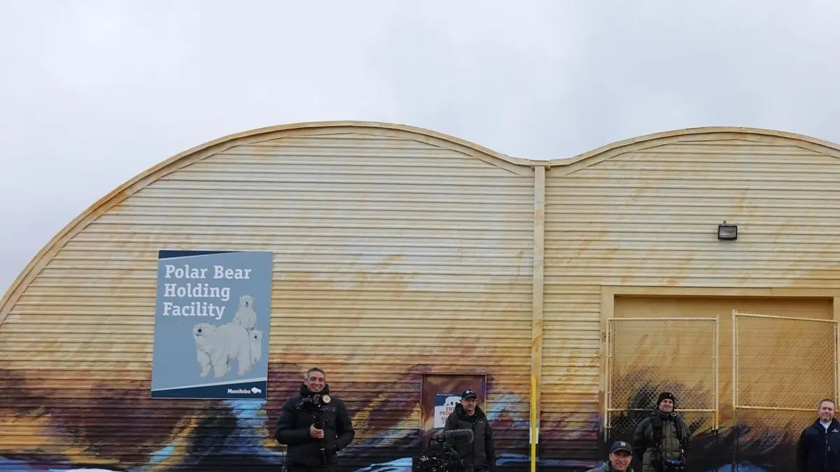 Vétérinaires de l'Arctique La visite du grand-duc