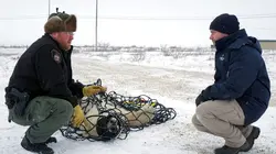 Visuel de Vétérinaires de l'Arctique