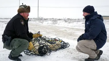 Vétérinaires de l'Arctique