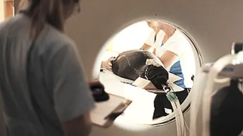 Vétérinaires de l'extrême E02