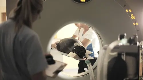 Vétérinaires de l'extrême E02