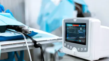 Vétérinaires en terre d'Ecosse