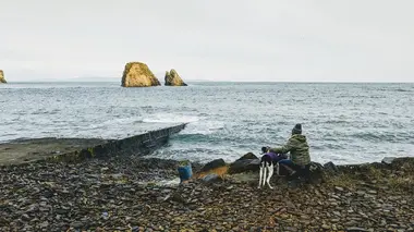 Vétérinaires en terre d'Ecosse