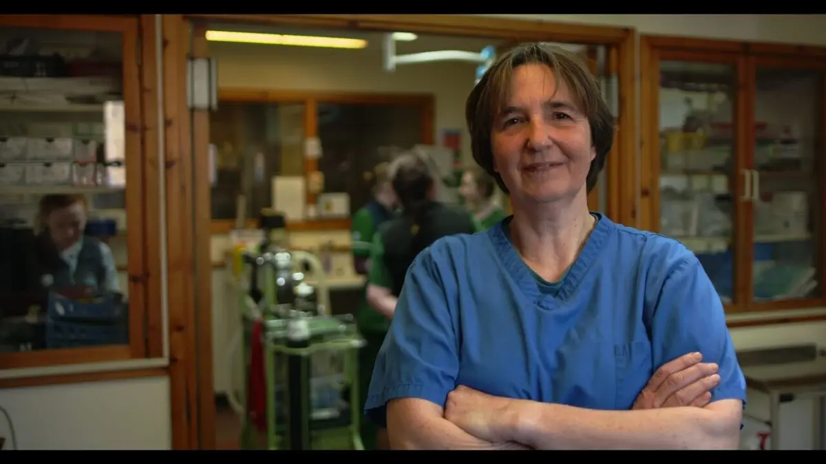 Vétérinaires en terre d'Ecosse