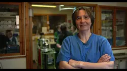 Vétérinaires en terre d'Ecosse