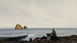 Vétérinaires en terre d'Ecosse