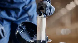 Vétérinaires en terre d'Ecosse