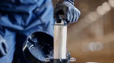 Vétérinaires en terre d'Ecosse