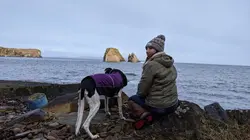 Vétérinaires en terre d'Ecosse