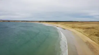 Vétérinaires en terre d'Ecosse