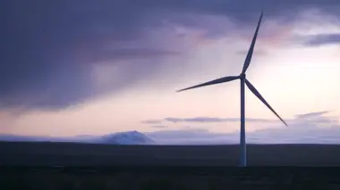 Vétérinaires en terre d'Ecosse