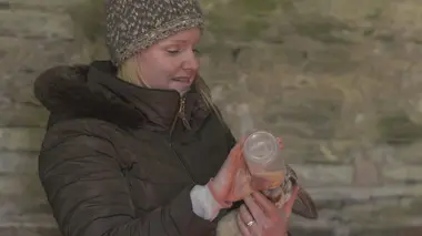 Vétérinaires en terre d'Ecosse