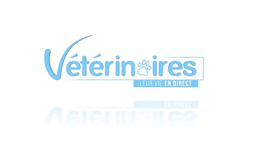 Vétérinaires, leur vie en direct La maladie mystérieuse de Jiang, le panda roux