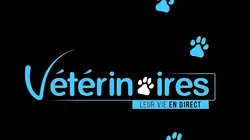 Vétérinaires, leur vie en direct  Le jeu du panda géant