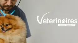 Vétérinaires, leur vie en direct Les otaries vont chez le dentiste!